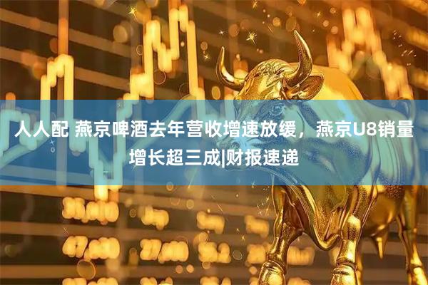 人人配 燕京啤酒去年营收增速放缓，燕京U8销量增长超三成|财报速递