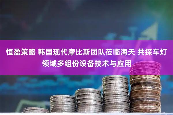 恒盈策略 韩国现代摩比斯团队莅临海天 共探车灯领域多组份设备技术与应用
