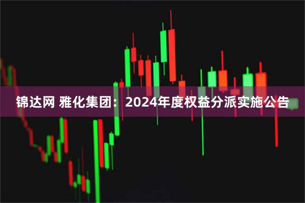 锦达网 雅化集团：2024年度权益分派实施公告