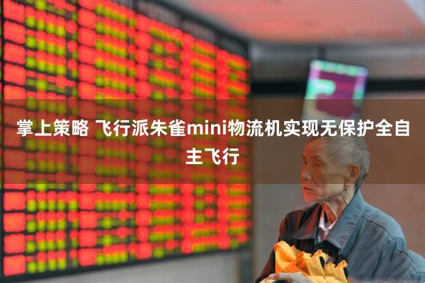 掌上策略 飞行派朱雀mini物流机实现无保护全自主飞行