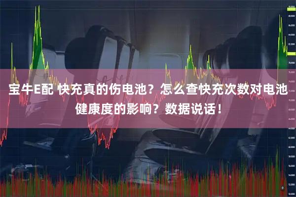 宝牛E配 快充真的伤电池？怎么查快充次数对电池健康度的影响？数据说话！